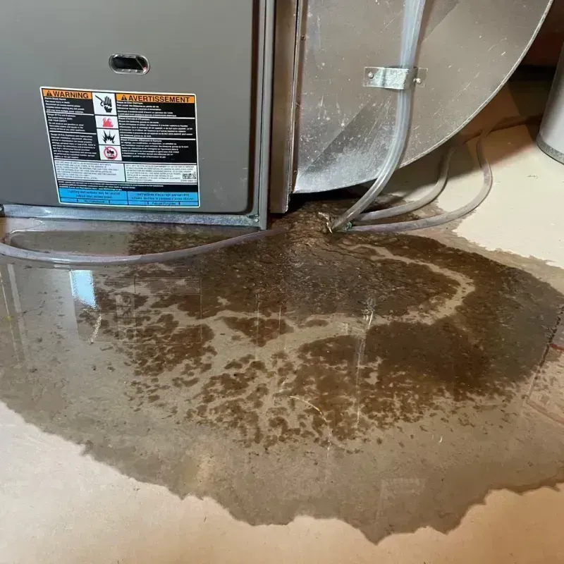 Appliance Leak Cleanup in Barbourmeade, KY